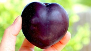 Plum-Powerful-Multivitamin-For-Your-Heart